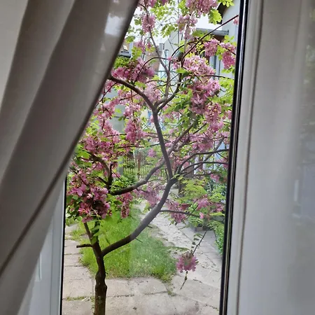 Cassino Apartament Sopot