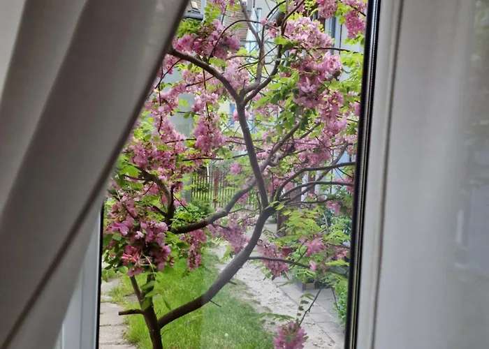 Apartament Cassino Apartment Sopot