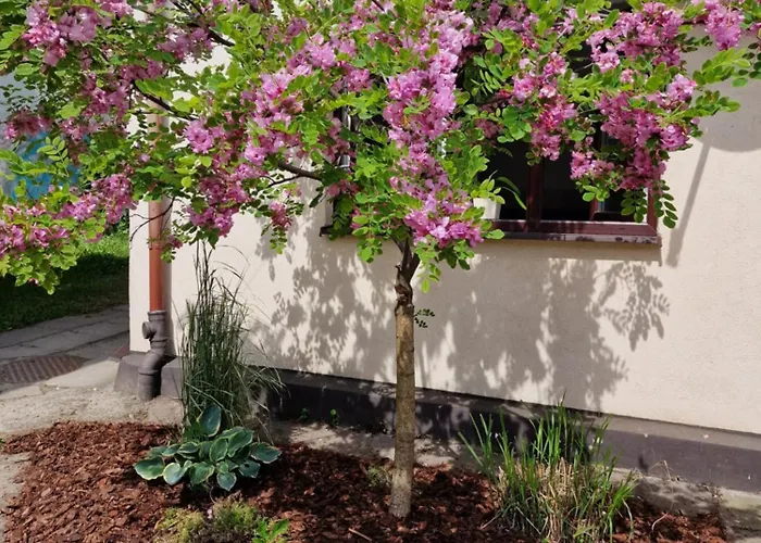 Apartament Cassino Sopot